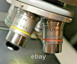 American Optical Binocular Microscope with Acromat Objective Lenses & Eyepieces