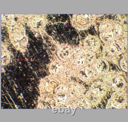 CLEAN GLASS Olympus LMPlanFL N 20X/0.40 BD Microscope Objective Lens M26 33089