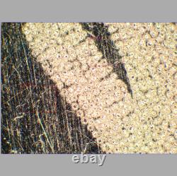 CLEAN GLASS Olympus MPlanFL N 5X/0.15 BD Microscope Objective Lens for M26 33086