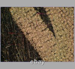 CLEAN GLASS Olympus MPlanFL N 5X/0.15 BD Microscope Objective Lens for M26 33086