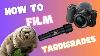 Can You Use A Camera To See Tardigrades