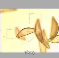 Ex Nikon Fluor 20x / 0.75 160/0.17 Microscope Objective Lens for RMS 32513