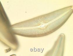 Ex Olympus DPlanApo 40UV 0.85 160/0.11-0.23 Microscope Objective Lens RMS 26624