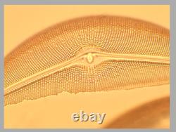 Exce Nikon Plan Apo 100x 1.35 oil 160/0.17 Microscope Objective Lens 34831