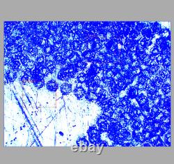 Excellent NIKON 10X M PLAN MICROSCOPE OBJECTIVE LENS 10/0.21 SLWD 210/0 34052