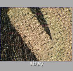 Excellent Olympus MPlanFL N 5X/0.15 BD Microscope Objective Lens for M26 33085