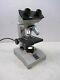 Fisher Scientific Micromaster Model E Binocular Microscope With 4 Objective Lenses