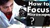 How To Focus A Microscope The Best Microscope Focusing Procedure Steps