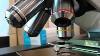 How To Use A Compound Light Microscope Biology Lab Tutorial