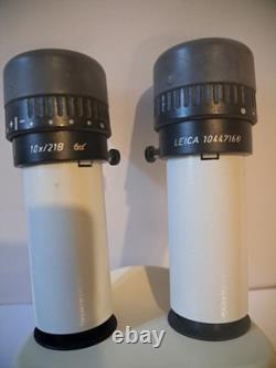 Leica MS5 stereo Microscope With 10X21b Eyepieces And 0.63X Objective Lens