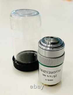 Leitz 25X/0.75 Fluoreszenz Oil Microscope Objective Lens Fluorescence 160mm RARE