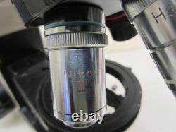 Microscope Objective Lens Lot Nikon Phase 40x Plan 100 Oil + Eyepiece CFW10x