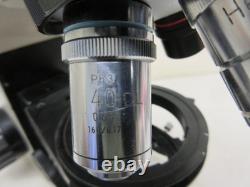 Microscope Objective Lens Lot Nikon Phase 40x Plan 100 Oil + Eyepiece CFW10x