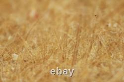 Mitutoyo M Plan APO 20x / 0.42? /0 f=200 Microscope Objective Lens #5542