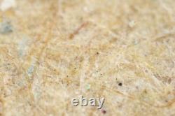 Mitutoyo M Plan Apo 10x / 0.28 Infi/0 f=200 Microscope Objective Lens #5452