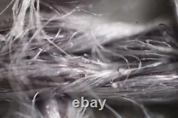 Mitutoyo M Plan Apo 10x / 0.28 Infi/0 f=200 Microscope Objective Lens #5455