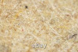 Mitutoyo M Plan Apo 10x / 0.28 Infi/0 f=200 Microscope Objective Lens #5455