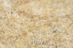 Mitutoyo M Plan Apo 10x / 0.28 Infi/0 f=200 Microscope Objective Lens #5456