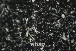 Mitutoyo M Plan Apo 10x / 0.28 Infi/0 f=200 Microscope Objective Lens #5456
