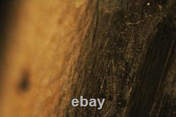Mitutoyo M Plan Apo SL 20x / 0.28 Infi/0 f=200 Microscope Objective Lens #5430