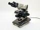 Nikon Labophot-2 Binocular Microscope With 10/0.25 40/0.65 4/0.1 Objective Lens