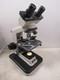 Nikon Ys2-t Alphaphot Binocular Microscope With Eyepieces & 3 Objective Lenses