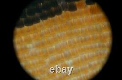 OLYMPUS SPlan s plan Apo Apochromat 10x 160 0.40 Microscope objective lens #2