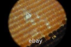 Olympus MSPlan 10x 0.30 infinity? /0 f=180 Metal Microscope Objective Lens Plan