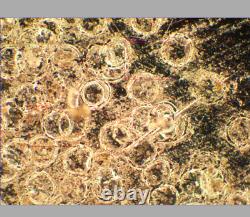 Olympus UMPlanFl 20x/0.40 BD P? /0 Microscope Objective Lens for M26 32822