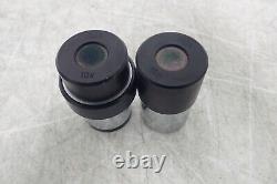 Pair of Wild Heerbrugg 10x Microscope Objective Lens Eyepieces