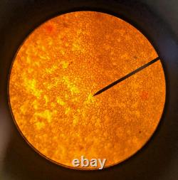 Swift Binocular Compound Microscope, 4 Objectives, 40X-1000X, Free Shipping