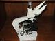 Tiyoda Trinocular Microscope #47634, White, 6 Objective Lens, Aoc Lmap