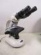 Wolfe Contour Microscope Carolina 59-0986 Binocular Objective Lenses W Eyepieces