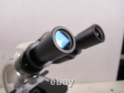 Carolina 59-0986 Wolfe Objectifs de Microscope Binoculaire Contour et Oculaires