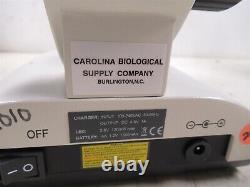 Carolina 59-0986 Wolfe Objectifs de Microscope Binoculaire Contour et Oculaires