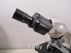 Carolina 59-0986 Wolfe Objectifs de Microscope Binoculaire Contour et Oculaires
