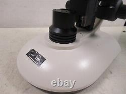 Carolina 59-0986 Wolfe Objectifs de Microscope Binoculaire Contour et Oculaires