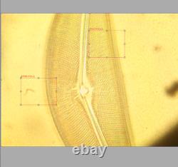 DDP USA Zeiss Plan NEOFLUAR 100x/1.30 Objectif à huile Lentille 440481 RMS 33438