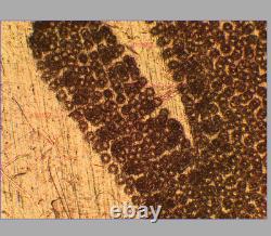 Excellent objectif de microscope Olympus MPlanFL N 5X/0.15 BD pour M26 33085