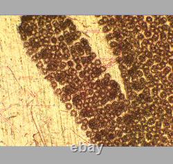 Excellent objectif de microscope Olympus MPlanFL N 5X/0.15 BD pour M26 33085