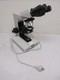 Lot D&rsquo;objectifs De Microscope Nikon Phase 40x Plan 100 &agrave; Immersion Huile + Oculaire Cfw10x
