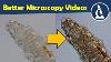 Meilleures Vidéos De Microscopie En Améliorant Le Contraste Microscopie Amateur