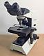 Microscope Binoculaire Olympus Ch30 Halogène 6v 20w Avec Objectifs 4x 10x 40x 100x