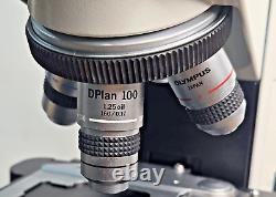 Microscope Binoculaire Olympus CH30 Halogène 6V 20W avec Objectifs 4X 10X 40X 100X
