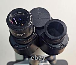 Microscope Binoculaire Olympus CH30 Halogène 6V 20W avec Objectifs 4X 10X 40X 100X