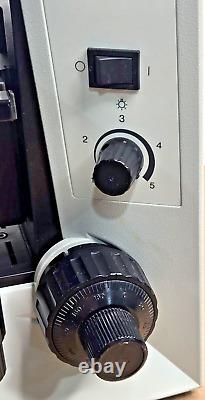 Microscope Binoculaire Olympus CH30 Halogène 6V 20W avec Objectifs 4X 10X 40X 100X