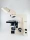 Microscope Carl Zeiss Axiolab Re Sans Objectifs Ni Oculaires &ndash; Ch&acirc;ssis Seul