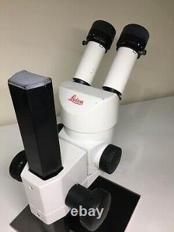 Microscope Stéréo De Leica Wild M3z Avec Oeillets Wild 10x21 Et Objectif 1x