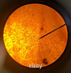 Microscope composé à prismes Swift, 4 objectifs, 40X-1000X, livraison gratuite