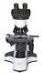 Microscope Médical Professionnel 2500x De Grossissement Objectif Plan 10x/18mm Led